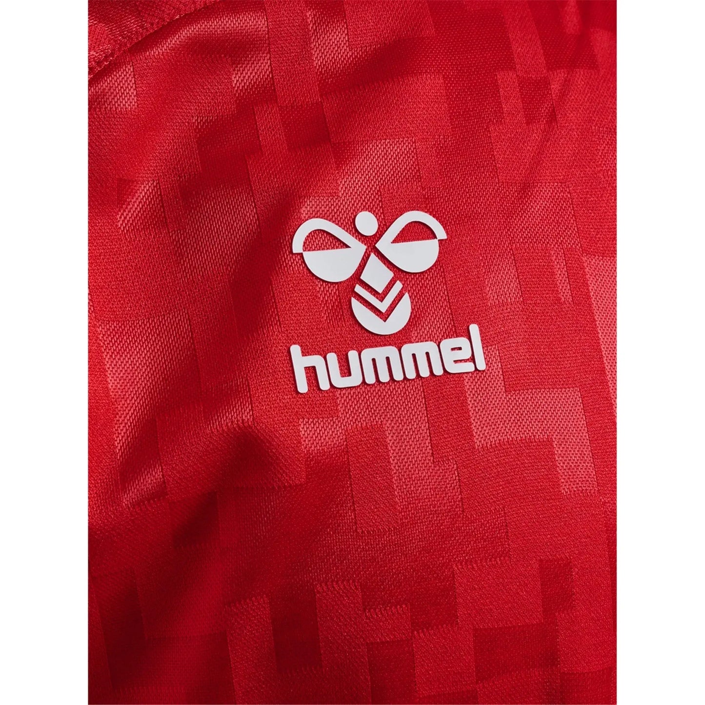 Denmark 24/25 Home Jersey Hummel